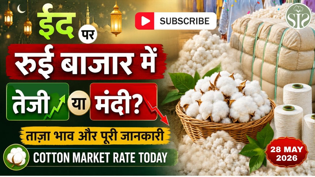 ईद पर कपास बाजार में गिरावट😱 Cotton Market Rate Today